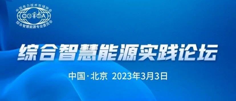 会议回顾 | 综合智慧能源实践论坛成功召开 清能互联出席并发表虚拟电厂专题演讲